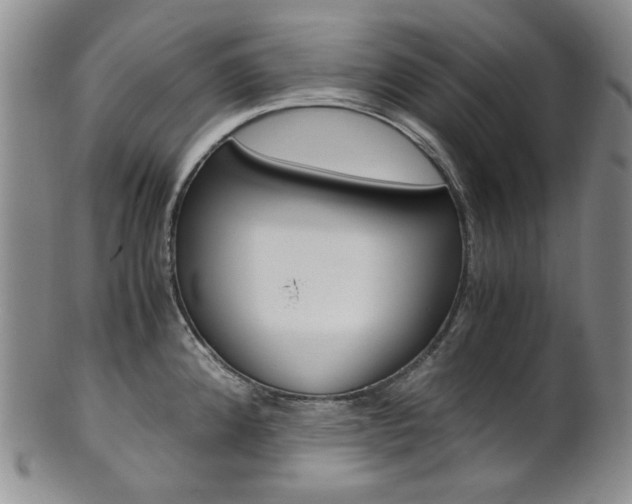 X0000101681192200807101137