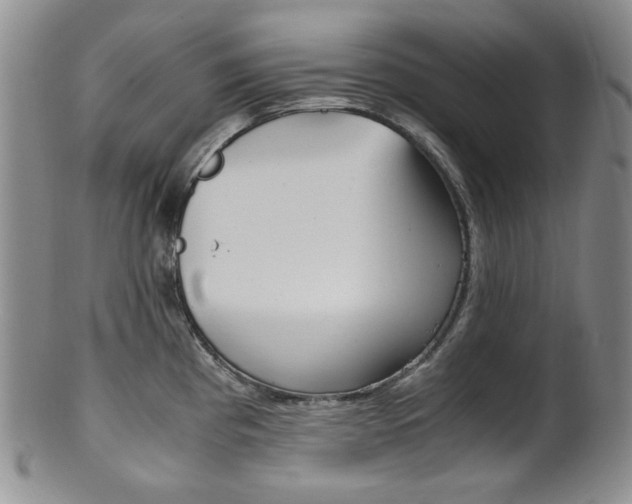 X0000101681193200807101137