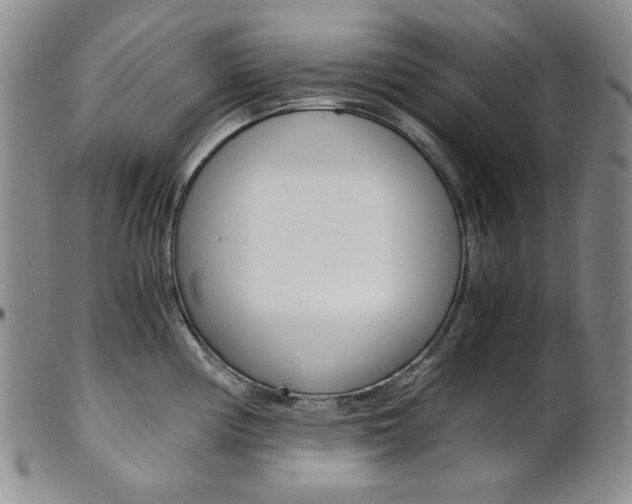 X0000101681194200807101137