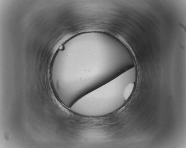 X0000101681197200807101137