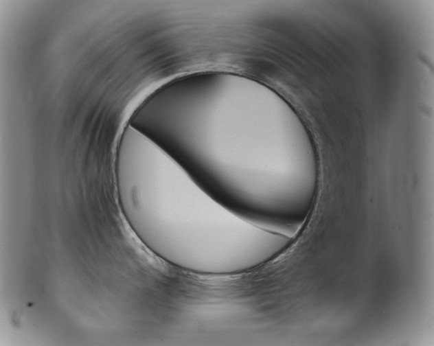 X0000101681200200807101137