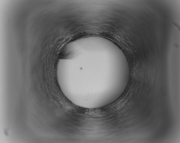 X0000101681201200807101136