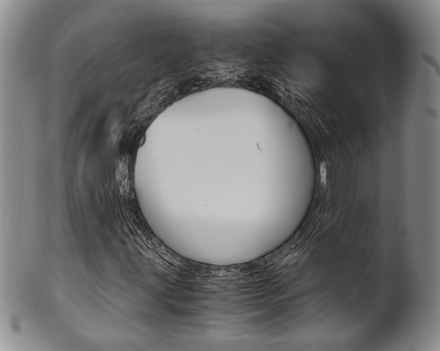 X0000101681203200807101136