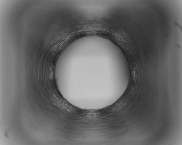 X0000101681204200807101136
