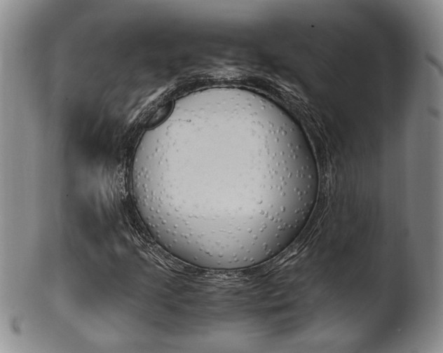 X0000101681205200807101136