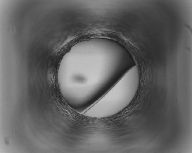 X0000101681206200807101136