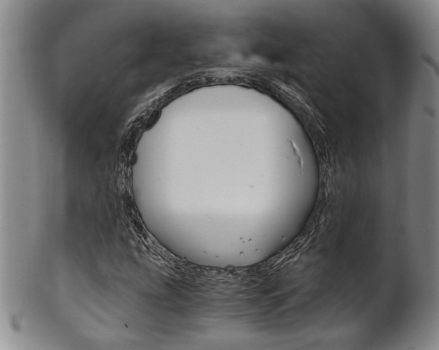 X0000101681207200807101136