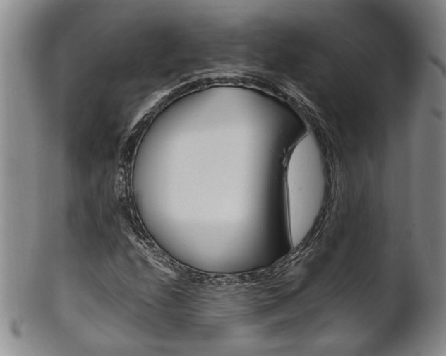 X0000101681208200807101136