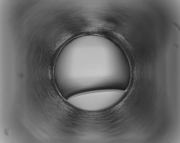 X0000101681209200807101136