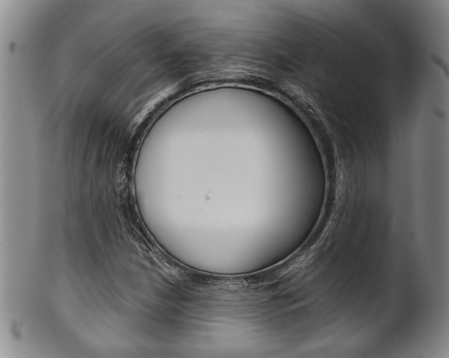 X0000101681210200807101136