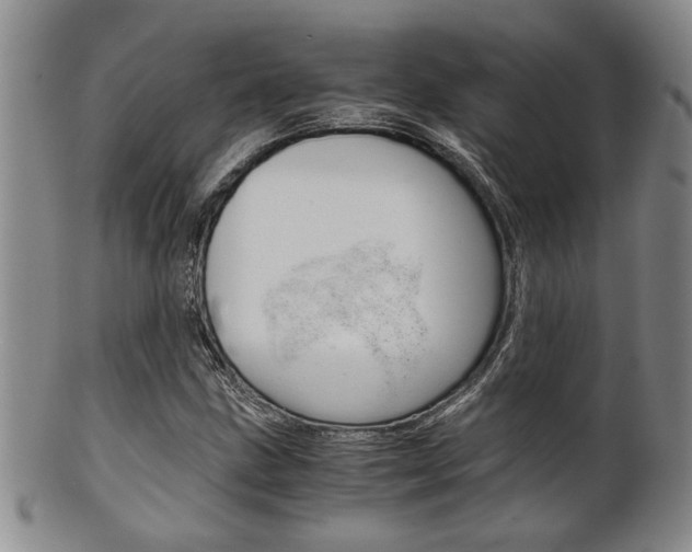 X0000101681211200807101136