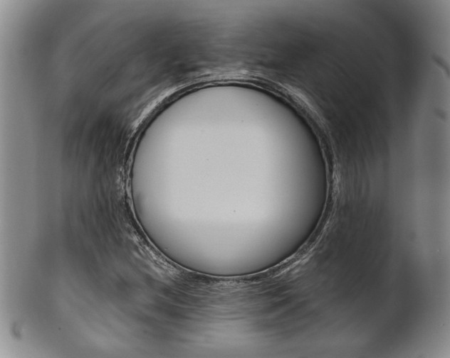 X0000101681212200807101136