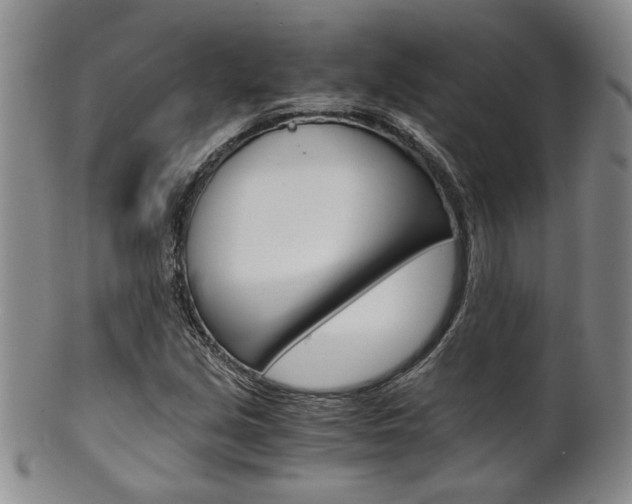X0000101681213200807101136