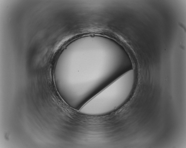 X0000101681214200807101136