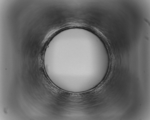 X0000101681215200807101136