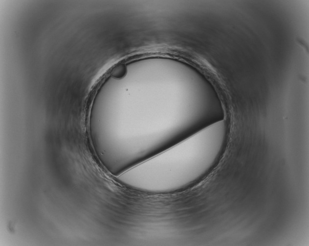 X0000101681216200807101136
