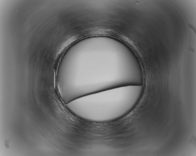 X0000101681219200807101136