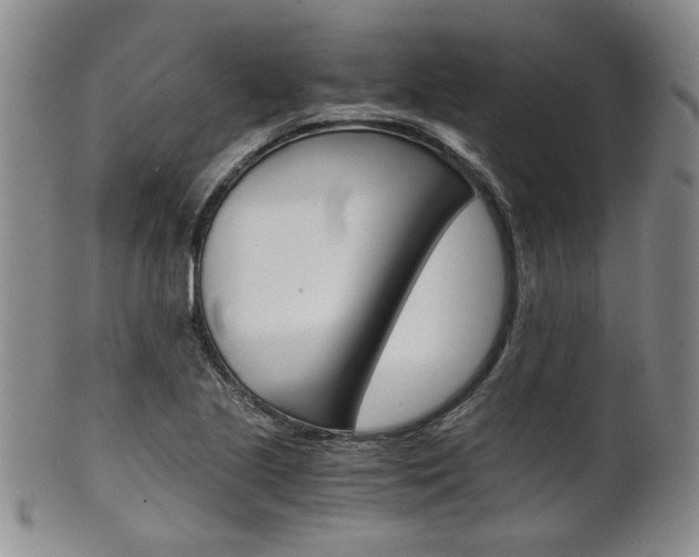 X0000101681221200807101136