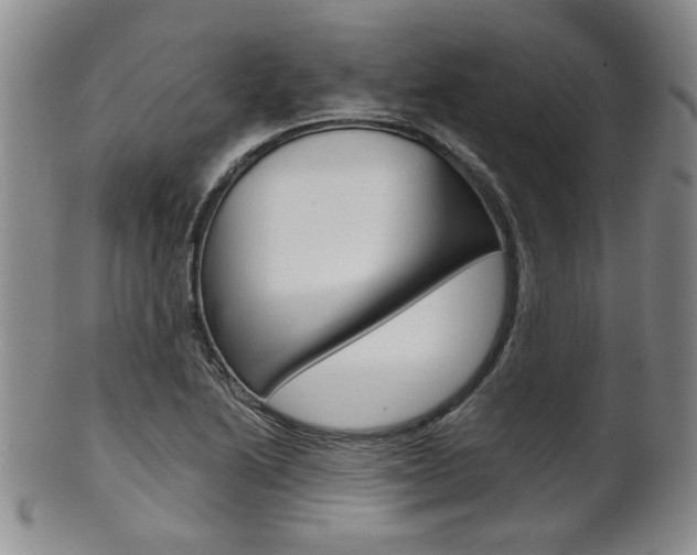 X0000101681222200807101136