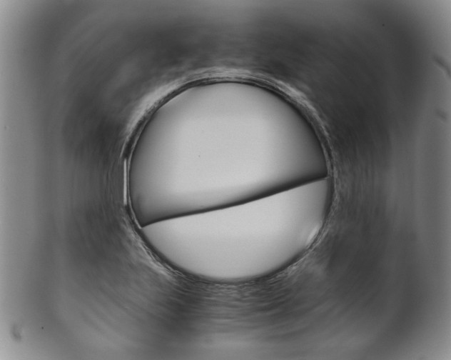 X0000101681223200807101136