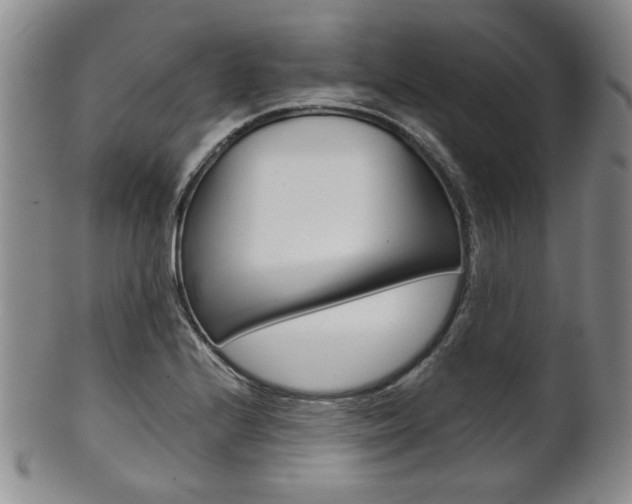 X0000101681224200807101136
