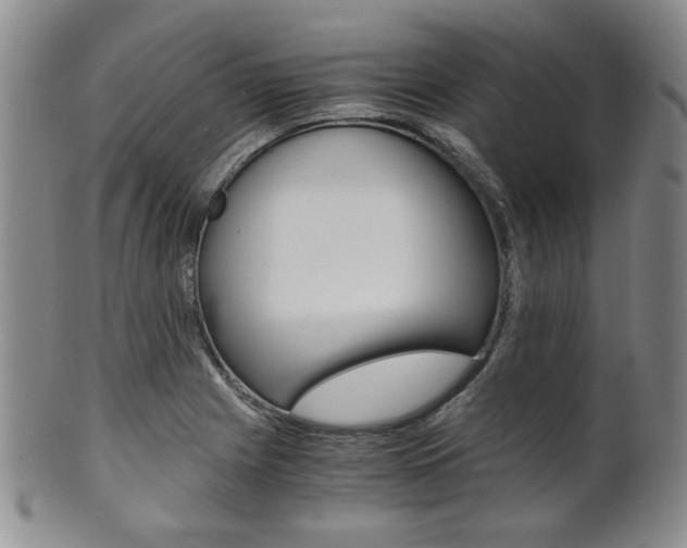 X0000101681225200807101136