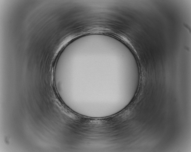 X0000101681227200807101136