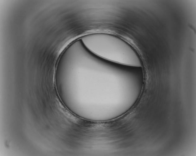 X0000101681228200807101136