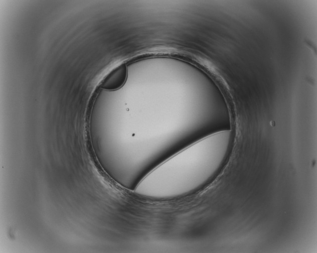 X0000101681229200807101136