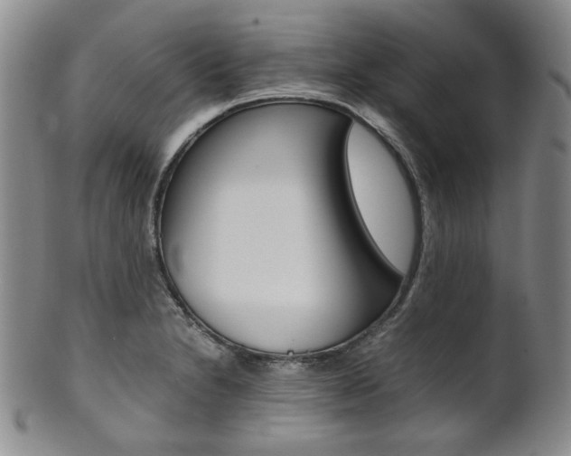 X0000101681230200807101136