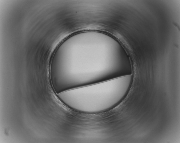 X0000101681232200807101136