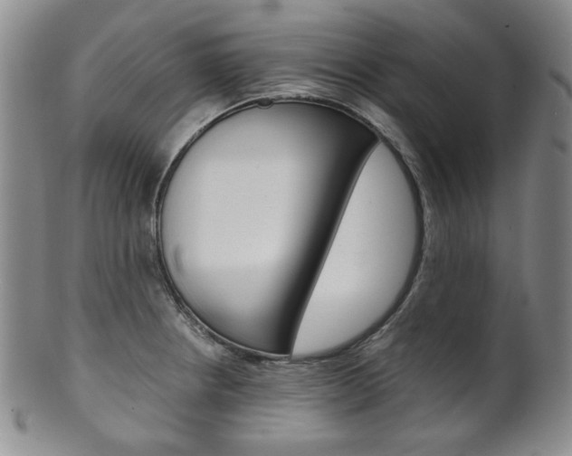 X0000101681234200807101136