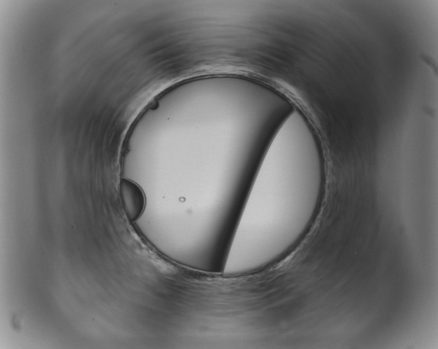 X0000101681236200807101136