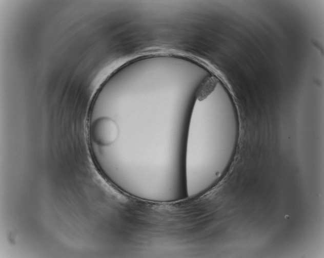 X0000101681239200807101136
