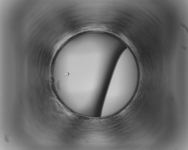 X0000101681240200807101136