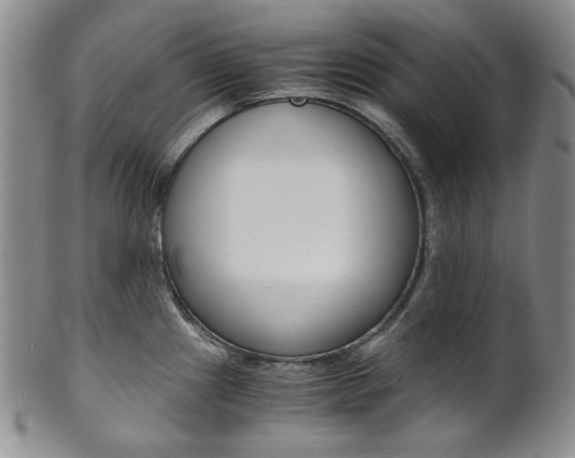 X0000101681241200807101136