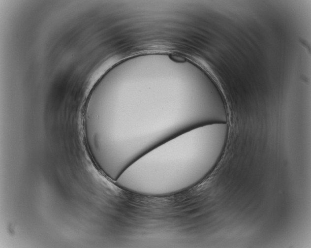 X0000101681243200807101137