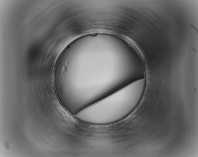 X0000101681244200807101137