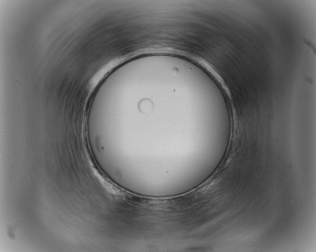 X0000101681245200807101137