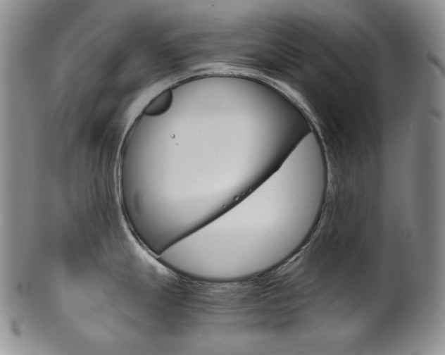 X0000101681247200807101137
