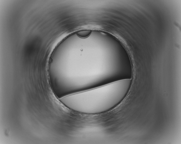 X0000101681248200807101137
