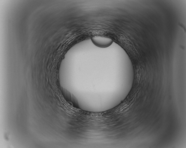 X0000101681249200807101136