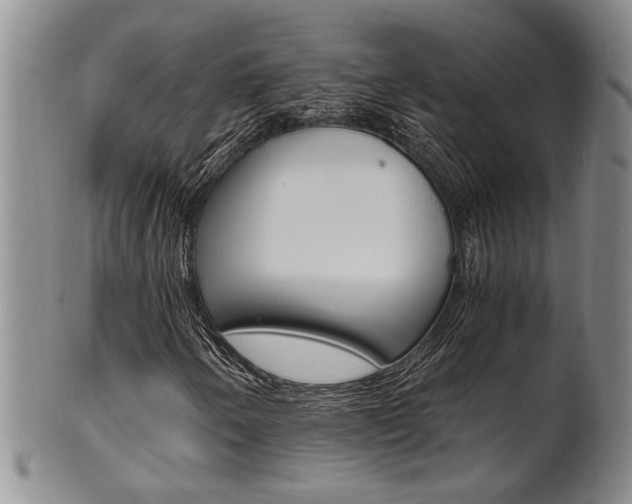 X0000101681250200807101136