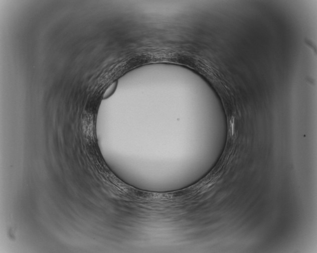 X0000101681251200807101136