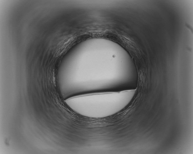 X0000101681252200807101136
