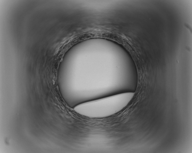 X0000101681253200807101136