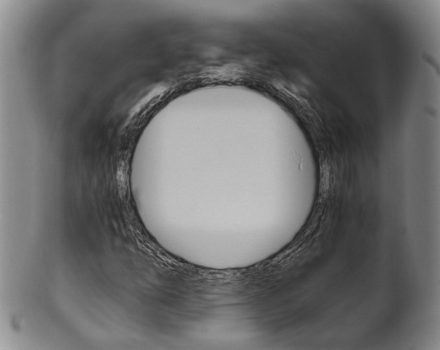 X0000101681254200807101136