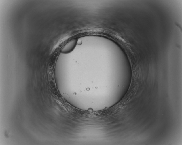 X0000101681255200807101136