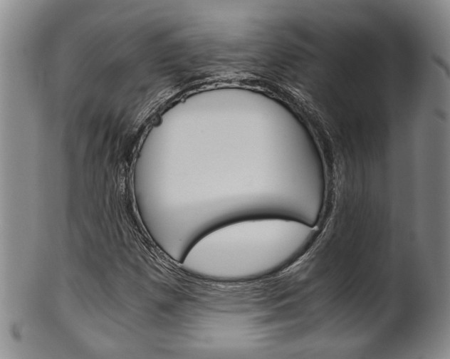 X0000101681257200807101136