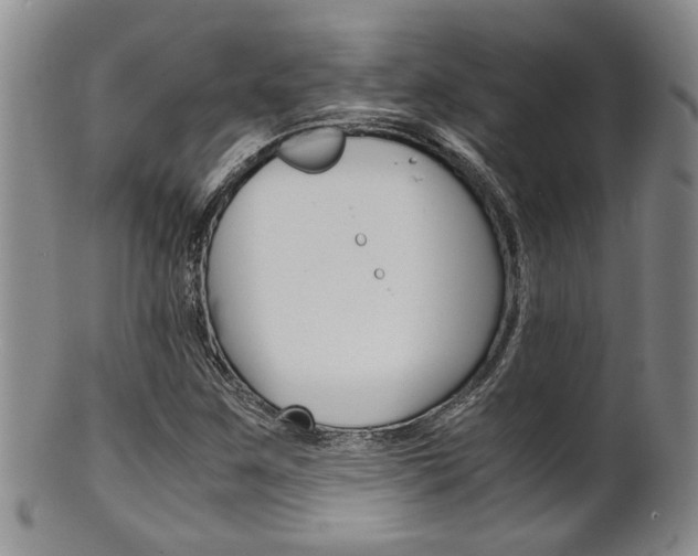 X0000101681259200807101136